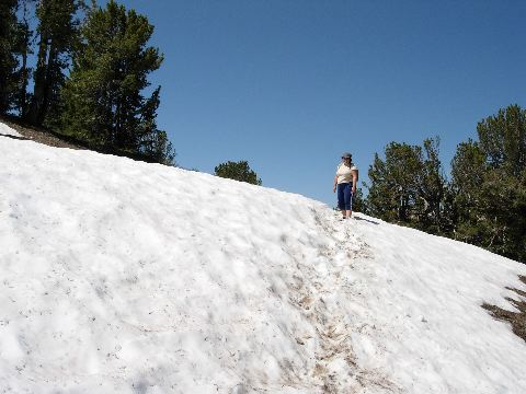 ice burg wilderness